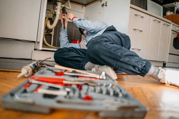 Best Commercial Plumbing Services  in Loyal, WI